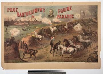 Prof. Bartholomew’s equine paradox