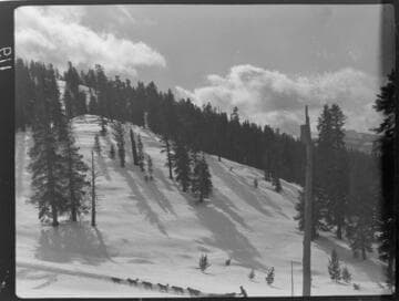 Distant shot of [Jerry Dwyer's] dog team pulling sled across snowy field