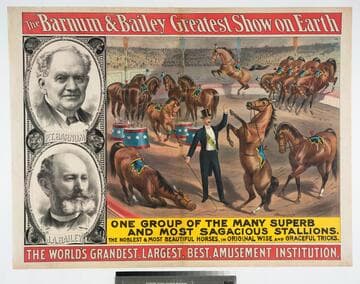 Barnum & Bailey greatest show on Earth : one group of the many superb and most sagacious stallions. The noblest & most beautiful horses, in original wise and graceful tricks