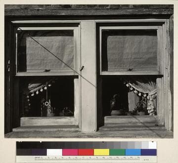 Mrs. Sangi's Windows, New Jersey