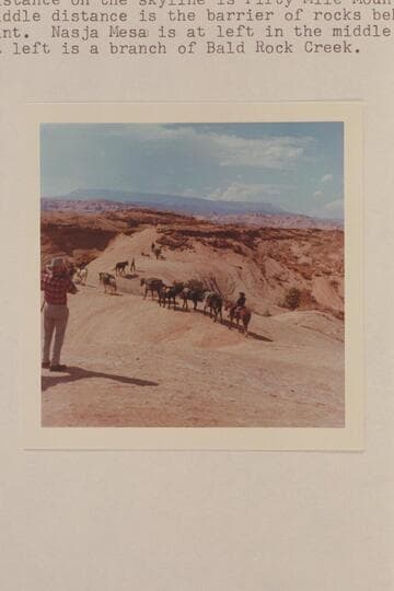 Westerly across the saddle to the slick-rock drop into Bald Rock Creek