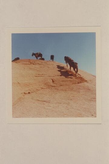 West of Nasja Creek on the climb out of the small canyon which is tributary to the Creek en route to Dead Center Camp