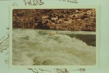 Rapid 205; Ed Herrman