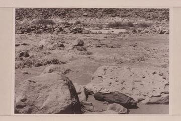 Across Badger Creek Rapid from near the head at left bank