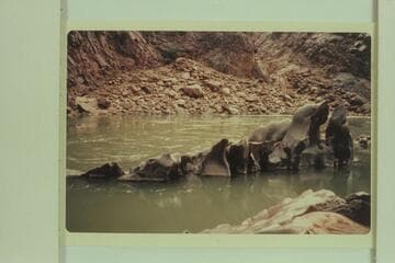 Head of 232 Mile Rapid from right bank