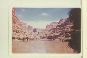 Up river from the upper end of the beach at Rapid No. 43, Mile 184.5.  The side canyon just left of center is Cove Canyon at Mile 186.2