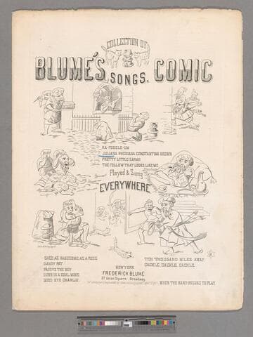 Juliana Phebiana Constantina Brown: Humorous song : played & sung everywhere / by J. Thompson