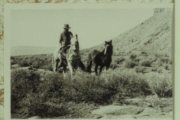 Bringing in wild horse caught by expedition to so-called Canyon of the Little Horses.  Near Mt. Akaba.  The talus at upper right appears at upper left in photo 500