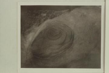 Cave of Domes; Horseshoe Mesa