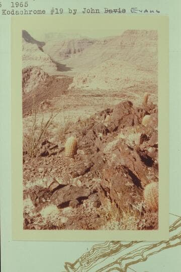 Southwesterly to head of Whitmore Trail