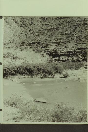 Mouth of the Little Colorado