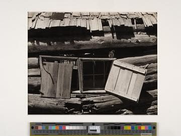 Cabin, High Sierra
