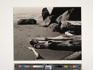 Moonstone Beach, N. Coast