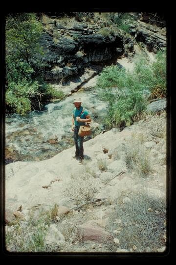 Tapeats Creek