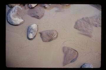 Settling silt; Mile 71.3