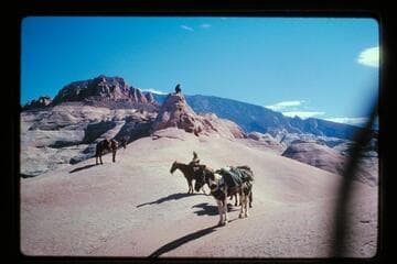 Butte 6069; Navajo Mountain from top of butte between Moepitz Airfield and Sid Whiskers Butte