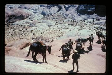 Down from ledge into basin north of Sid Whiskers Butte