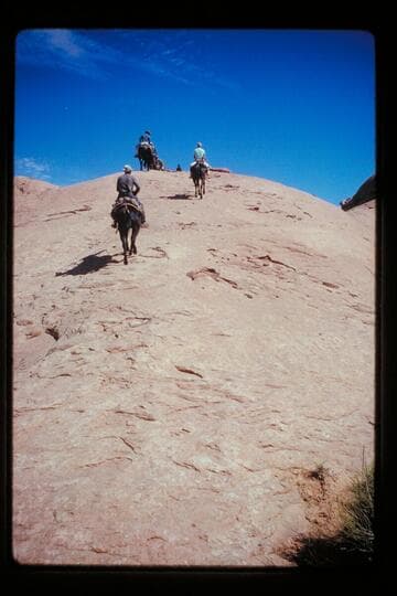 Up to divide between 71.5 and Moepitz Creek