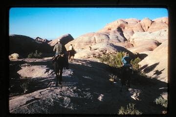 Trail from Black Water Creek to basin north of Sid Whiskers Butte