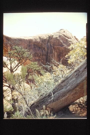 Abutment of Landscape Arch