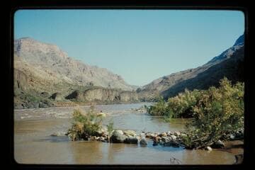 Three yaks bounce over rocks; Spring Canyon