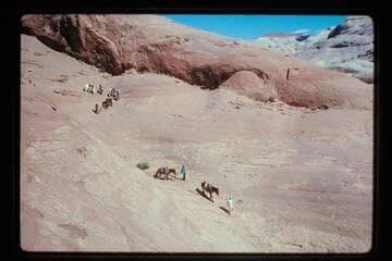 Down into basin north of Sid Whiskers Butte from trail over top