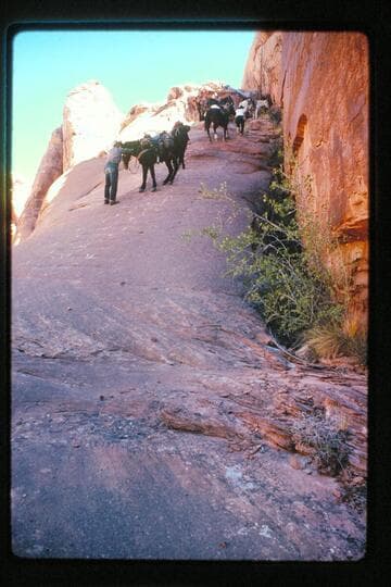 Up trail in joint near mouth of Nasja Creek