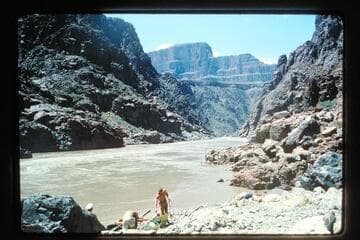 Coupling yaks above 234 Mile Rapids; Mile 233.6