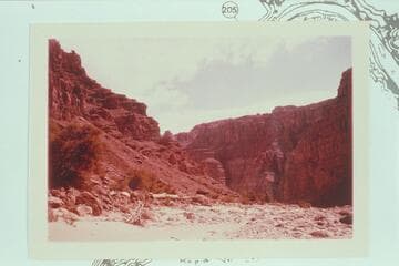 Down from Mile 202.8, left bank