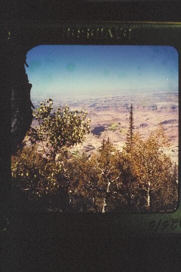 [Rainbow Bridge from Navajo Mountain]