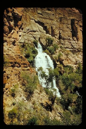Thunder Springs