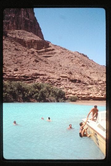 Swim in Little Colorado