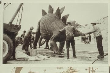 NPS crew welcomes $17,000 fiberglass Stegosaurus to Quarry Visitor's Center; Dinosaur National Monument