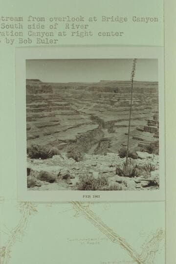 Downstream from overlook at Bridge Canyon Dam Site from south side of river.  Separation Canyon at right center