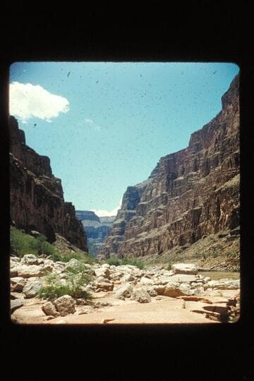 G.C. 1955