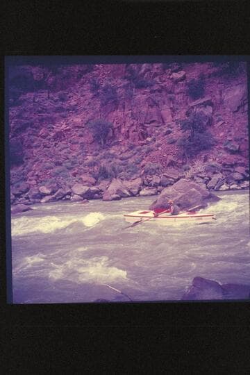 A. K. Reynolds in Disaster Rapid