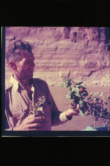 Hugh Cutler with monkey flower specimen at Vaseys Paradise