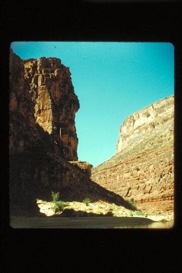 G.C. 1955