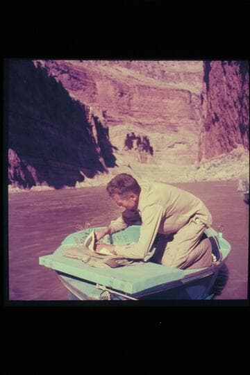 Hugh Cutler presses some botanical specimens found at Vaseys Paradise