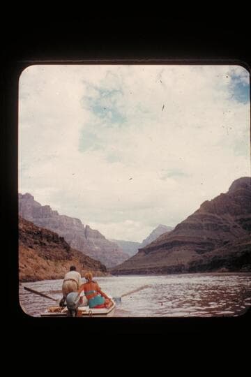 G.C. 1955