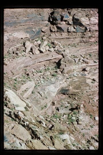 Stock on trail; Horsethief Canyon