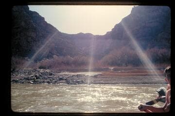 Mile 206.2, left bank