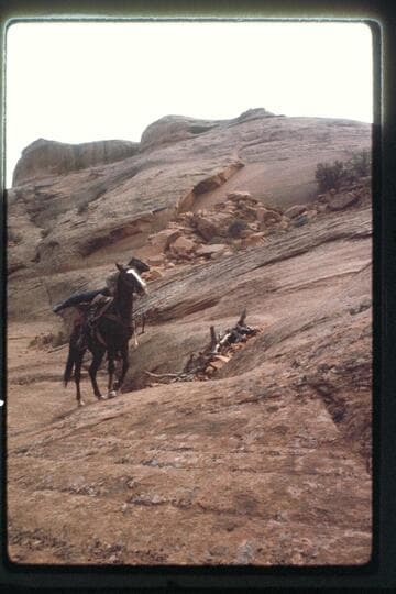 Slick-rock trail west of Nasja Creek