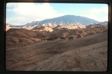 Trail west of Nasja Creek