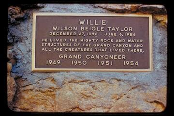 Willie's grave [Wilson Beigle Taylor]