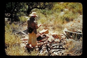 The Still, Chuar Creek