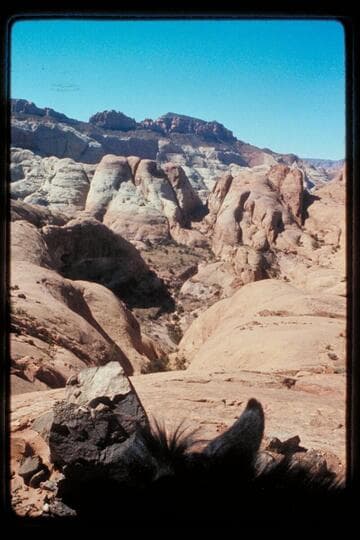 Across northeast fork to trail into middle fork