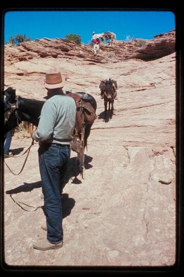 Leading stock into head of northeast fork of 73