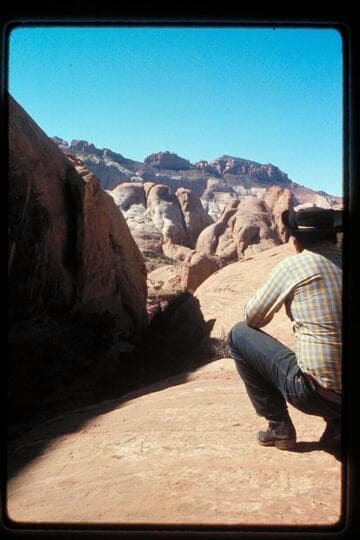 Across northeast fork 73 from head of foot trail
