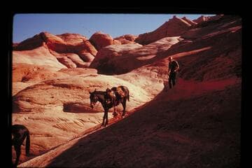 Trail from Black Water Creek to Moepitz